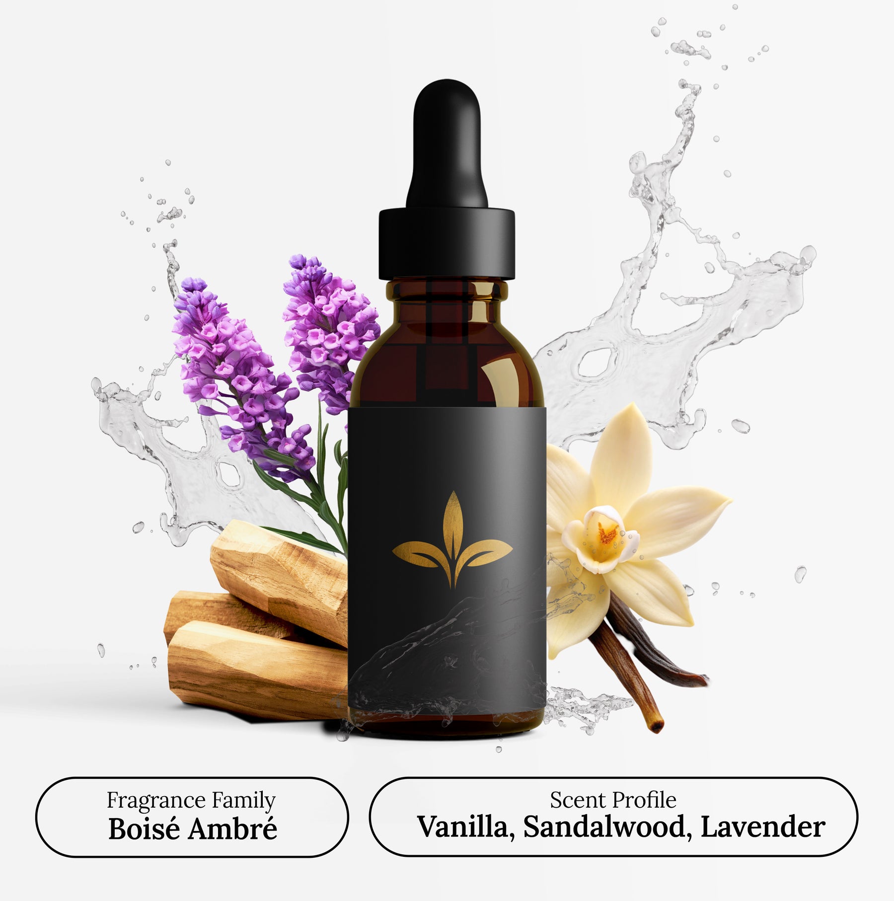 ErosNoir Midnight Elixir